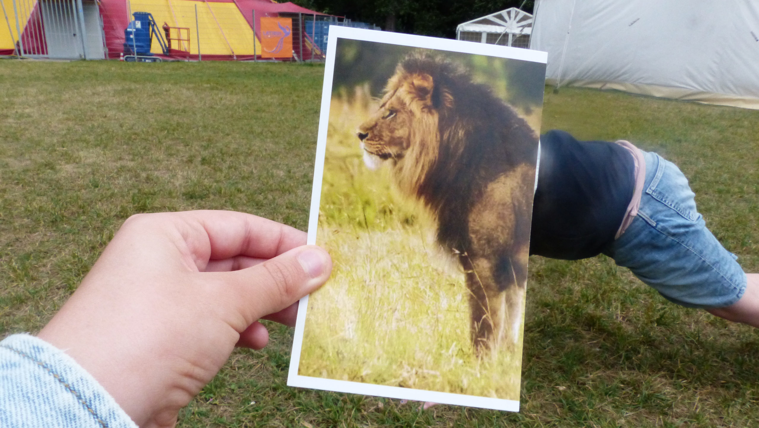 Ein Foto eines Löwen wird vor den Oberkörper eines im Mittelgrund befindlichen Kindes gehalten, sodass es wirkt, als werde das Kind zum Löwen.