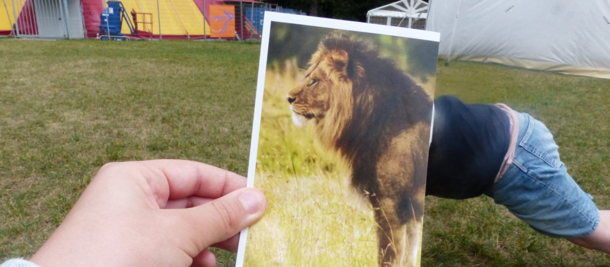 Ein Foto eines Löwen wird vor den Oberkörper eines im Mittelgrund befindlichen Kindes gehalten, sodass es wirkt, als werde das Kind zum Löwen.